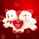ToyMagic Teddy with Heart|25cm Adorable Plush Toy Set|Cuddly Stuffed Animal Designed|Cute Teddy Bear with Soft Fabrics Stuffed Toy for Children and Adults|Best Valentine Gift for Loved Ones