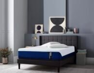 Springtek Dreamer 78x36x4 Inches Single Size Mattress | Memory Foam Mattress | Medium Firm Orthopedic Mattress | 3 Layer Cool Memory & HR Support Foam Gadda | Mattress Single Bed Mattress