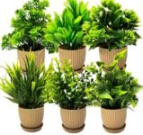Dekorly 6 Packs Fake Plants Small, Mini Artificial Plants Indoor For Home Farmhouse Bathroom Shelf Décor (Height : 17Cm, Chocolate) – Plastic