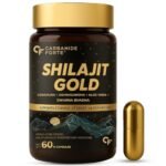 Carbamide Forte Shilajit Gold Capsules For Men With Swarna Bhasma,Gokshura,Ashwagandha | Himalayan Shilajit For Men | Shilajeet Gold Original | Shilajeet Capsule | 60 Veg Shilajit Capsules