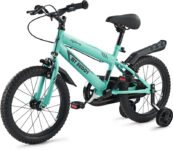 Lifelong LLBC1603 Mybuddy 16 T (inch) Road Cycle(Single Speed, Green, Rigid)