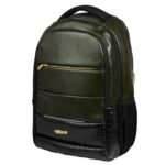F Gear Zurich Grn Vegan Lthr 30L,Laptop Backpack With Usb Charging Port Luggage Strap & Raincover|Lightweight Business Bag For Professionals Office College & Travel|Fits 17 “|2 Bottle|Unisex,Green
