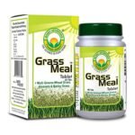 BASIC AYURVEDA Grass Meal 40 Tablets |