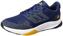 adidas Mens EvolveRun M TECIND/ACTGOL/Conavy Running Shoe – 10 UK (GC1052)