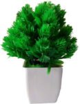 KAYKON Bonsai Wild Artificial Plant with Pot(15 cm, Green)