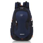 Wesley Spartan Unisex Travel Hiking Laptop Bag fits Upto 17.3 inch with Raincover and Internal Organiser Backpack Rucksack College Backpack