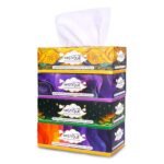 MISTIQUE 2 Ply Facial Tissue Paper | Car Tissue | Soft and Highly Absorbent | Pack of 4 (100 Pulls Per Box, 200 Sheets) | Sheet Size (17 * 20) cm