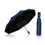 Portable Travel Umbrella – for Rain Windproof, Auto Open & Close Push Button Umbrella for Men & Women (Blue)