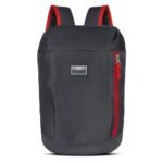 Priority10 Ltr Trendy Small Casual Day Backpack/Office Bag | Travel Bag | School Bag | College Bag | Versatile Bag For Men & Women | For Girl & Boy (Dark Gray)