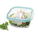 Treo by Milton Hi Borosilicate Clip Fresh Square Container, 320 ml, 1 Piece