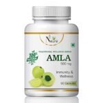 Natural Health Care Amla Herbal Capsules Ayurvedic – 60 Capsules (Pack Of 2)