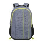Skybags Graf Plus 02 22 Litre 48Cm 3 Compartment Laptop Backpack Grey