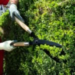 TrustBaket Garden Hedge Shears with Wooden Handle, 5mm Thick Heavy Duty Carbon Steel Blade, Comfortable Grip for Trimming, Pruning, Cutting, Hedge Cutter Tool for Lawn, Shrub, Plant Branch Scissors