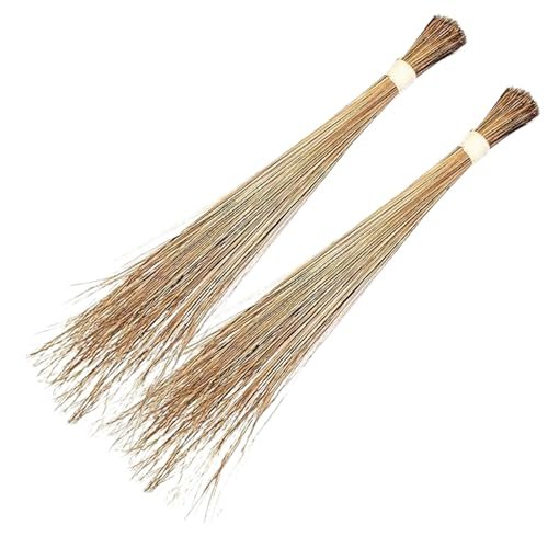 Koststix Coconut Broom Stick Leaf Grass Broomstick Washable Seekh Jhaadu with Firm & Comfortable Grip Ideal for Wet Surface Cleaning (2 Pc, 600Gm, Random Colors)