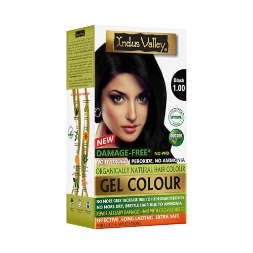 INDUS VALLEY Damage Free Natural Gel Hair Colour for Women | Ammonia & PPD Free Organic Hair Colour with 100% Grey Coverage, Long Lasting Conditioning Hair Color | Black 1.00-220 ml