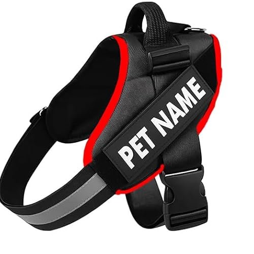 DAGGERS Premium Customized Vest Harness Belt Adjustable with Pet Name OR Date of Birth Personalized Dog Belt, No Pull Harness Reflective. Best for 23Kg -36Kg Dogs. (Large, Color- Black)