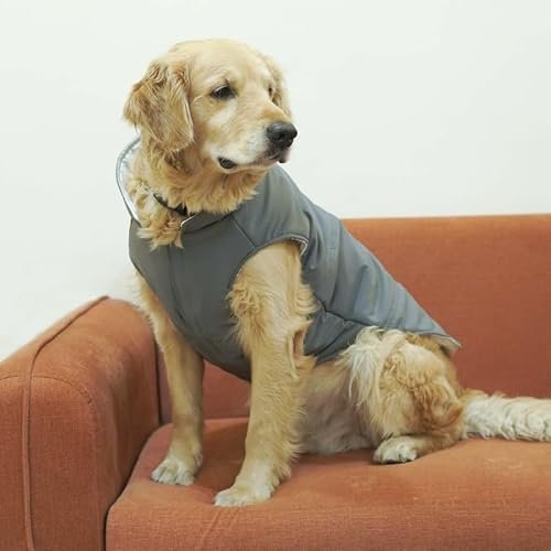 Pet’s Way Dog Winter Winter Frost Jacket (Grey-XL) | Dog Winter Wear Climate Control -10° Jacket | Available for All Breeds