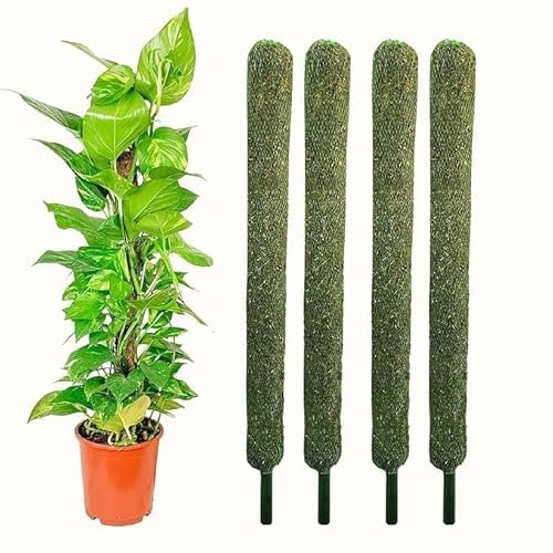 Balaji Creator Green Grass Pole for Plant|| Moss and Coir Stick 3FT|| Money Plant Support 3FT Set of 4 (90 CM)