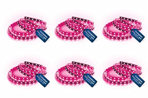 Crompton 5 Meter Strip Light Pink 300 LEDs (Pack of 6) (Without Driver)