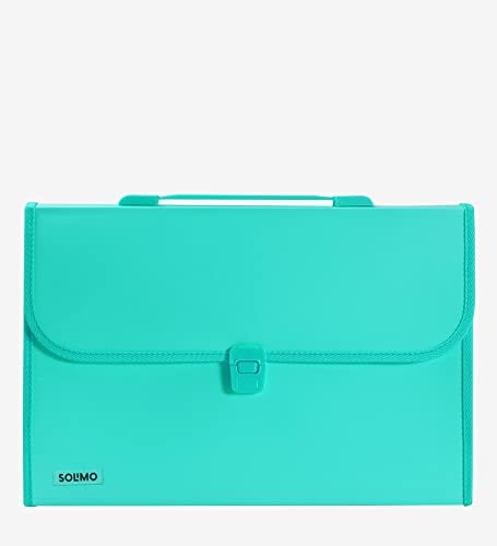 Amazon Brand – Solimo Plastic Expanding File Folder with 13 Pockets, Handle, and Buckle Closure, for A4 Size Documents (Green)