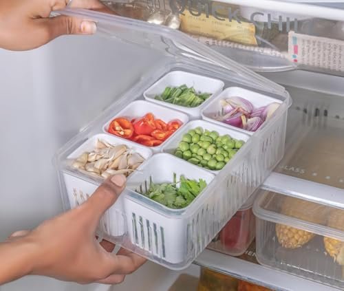 MARKWELL Fridge Storage Boxes Freezer Storage Containers, Container for Kitchen Storage Set, Storage in Kitchen, Vegetable Storage, Draining Crisper Refrigerator Food Box (Pack of 1)