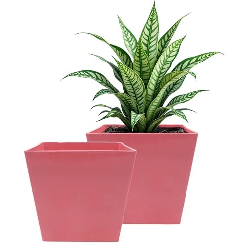 POTS4NATURE Square Pots for Plants | Lightweight Plastic Flower Pot for Indoor & Outdoor Home/Office/Table/Garden/Balcony Decoration | Terracotta Color | 6 Inches (Pack of 2)