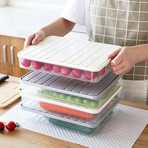 SR Modular Plastic Storage Containers with Lid, Fridge Storage Boxes Keeps Dry Fruits, Vegetables, Meat, Fish Fresh Longer Fridge Organizer, Set of 3 (1 pcs 2500 ML, 2 pcs 1200 ML)