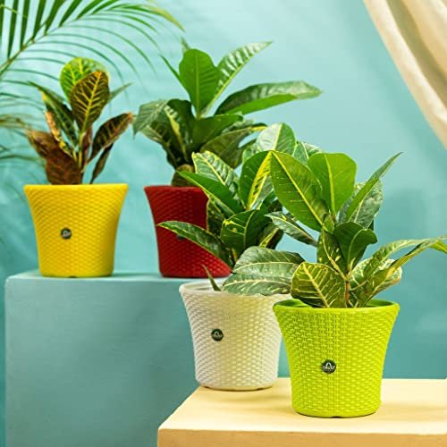 TrustBasket Helix Pot 7-inch Table Top Planter Pot (Pack of 4) | Heavy Duty Plastic Indoor and Outdoor Planter for Home Decor.