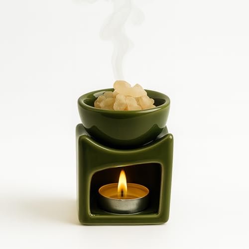 Cortina Ceramic Electric Wax Melt Warmer with Silicone Dish Fragrance Oil Burner for Wax Melts & Essential Oils Stylish for Home Bedroom Office Decor & Gift Use Color 2 (Warmer Only Wax Not Included)