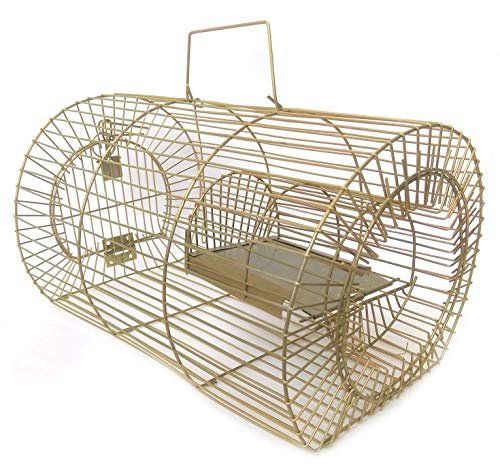 Shelter Rat Trap Cage, Rodent Control, Pinjra for Rat, Mouse and Mice Rat Catcher Cage Made with Brass Metal Wires, Round Shape for Home, Office (Golden, Green)