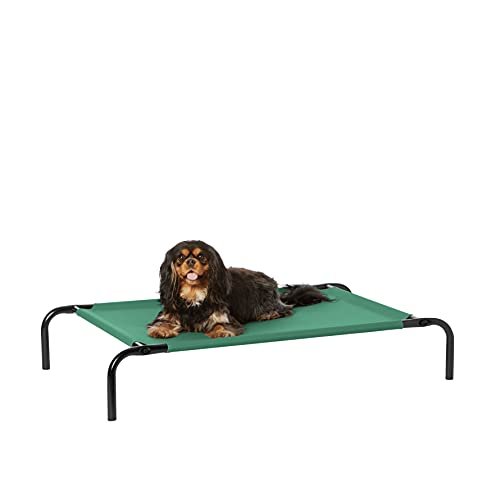 AmazonBasics Small Elevated Cooling Pet Dog Cot Bed – 36 x 22 x 7.5 Inches, Green