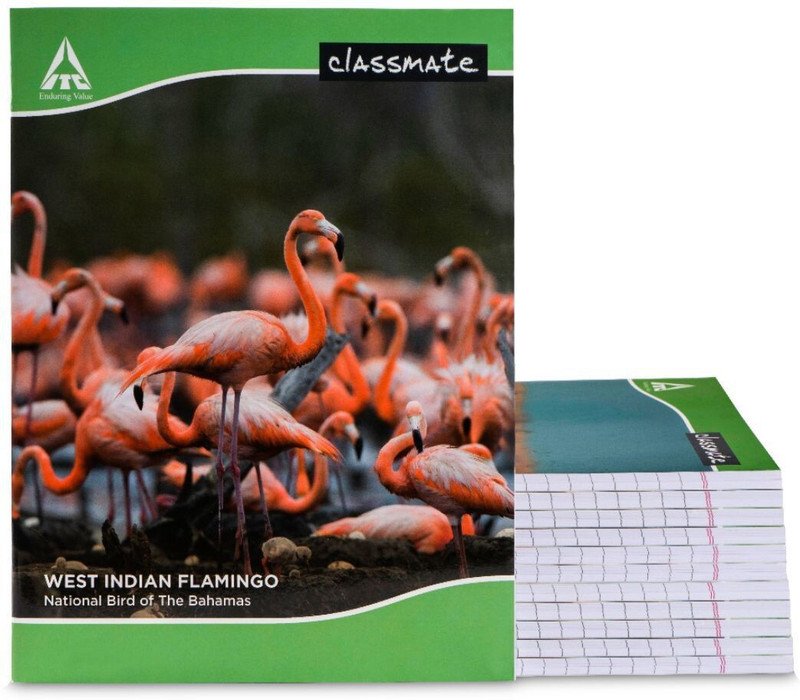 Classmate Notebook Regular Notebook Single Line 172 Pages(Multicolor, Pack of 12)