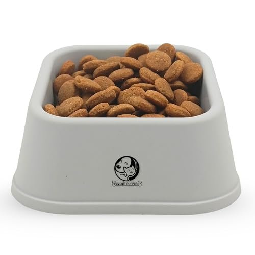 Foodie Puppies Cat Food and Water Feeder – 150ml (Grey Quadrant) | Durable, Anti Vomiting, Healthy Cat Bowl for Persian Cat Prevent Tipping Over | Elevated Feeder for Cats and Small Dogs